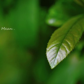 春天，一些花花草草什么的。