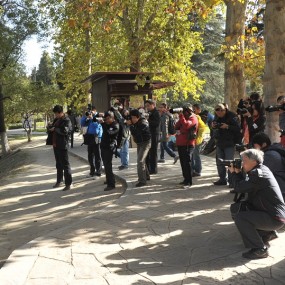 11.4活动1---长焦组花絮