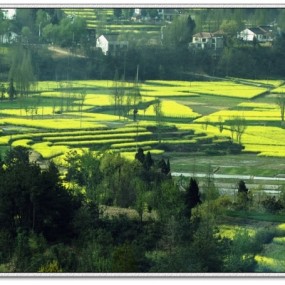 三月，我们的村庄！