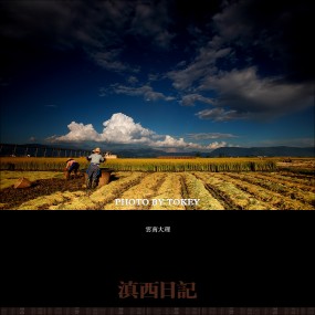 《滇西日记》---以生活的视角感悟滇西