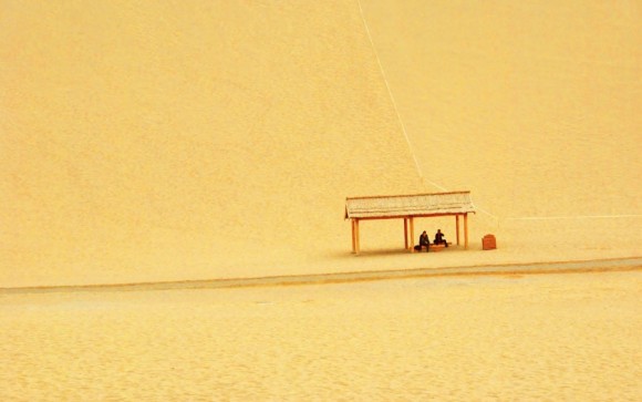 干枯的等待—习宗伟