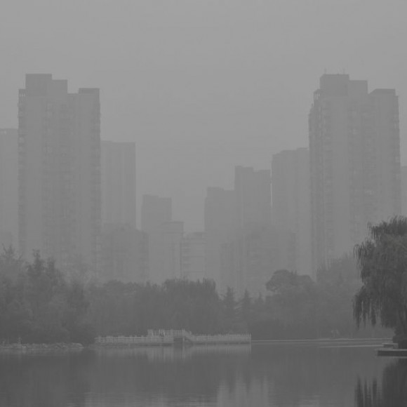 晨梦洒落丰庆园