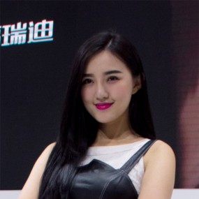 2014西安国庆车展---群芳斗艳