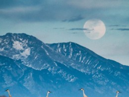 相机拥有的力量，不只是你想象的那样简单