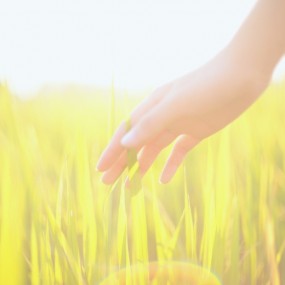 笑颜是阳光最好的朋友