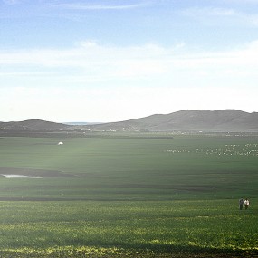 行摄呼伦贝尔草原（一）