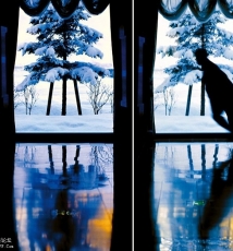 四海为佳 武四海《视界》外的世界