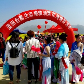 秦岭花海诗画蓝田，蓝田丝路生态慢城油菜花海漫游!