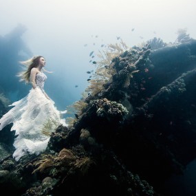 37张令人难以置信的照片｜2014精彩摄影作品回顾