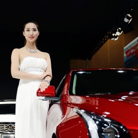 【十一车展】超广角车模