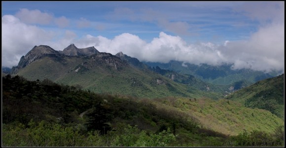 秦岭之风光—鹿角梁