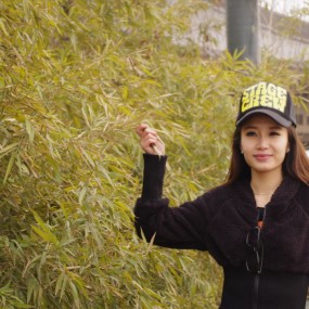 三月四日南湖作业