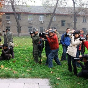 下午在小雁塔活动的花絮
