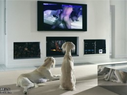 Philip-Lorca diCorcia 时尚摄影