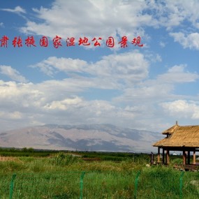 国家黑河湿地景观