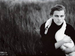 莱昂纳多~汤姆克鲁斯~~~