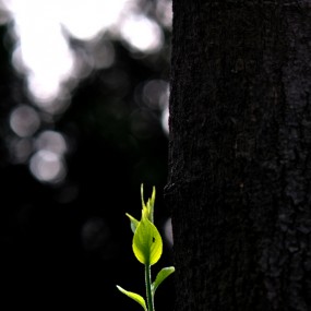 春天的第一个脚印