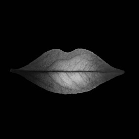 张宏川：让生命和时间静止 | 笔记