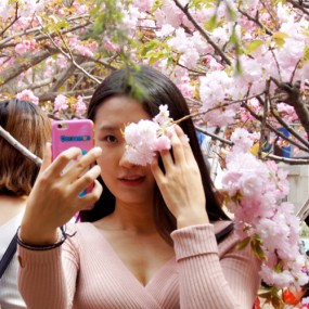 花开时节人也妖艳