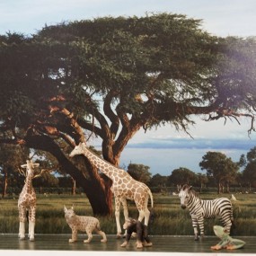 9.5【微摄力】----静态拍摄