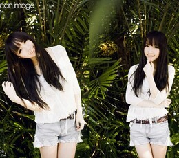 热带树下的Lossi