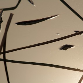 残荷的几何图形