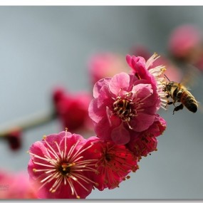 “魅力礼泉”摄影大赛征稿启事