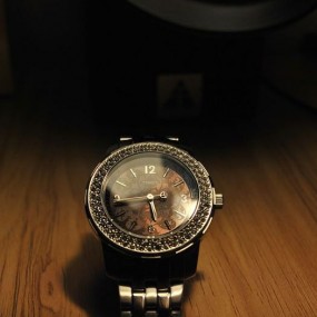 “宝贝”美照~(*^__^*)