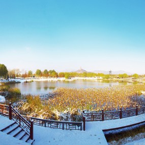 北坞公园雪景（北京西郊）