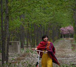 走在春天的曲子里