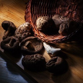 发几个静物，尧头那个弄错了