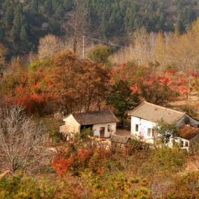山里人家