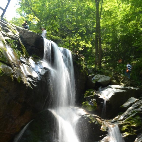 小小的瀑布，涓涓的流水。