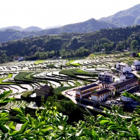 凤堰古梯田景色