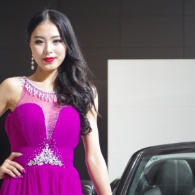 2013西安51车展作业