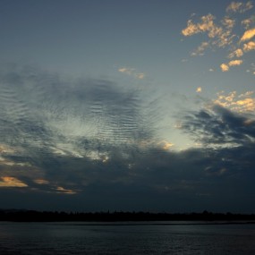 芦苇、红叶——又是一年金秋时（尼康17-55mm）
