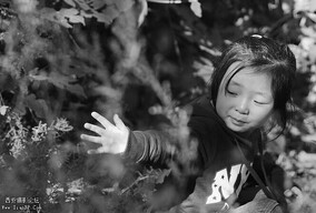 女儿的黑白摄影作业