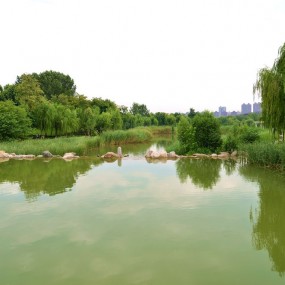 曲江池公园随拍