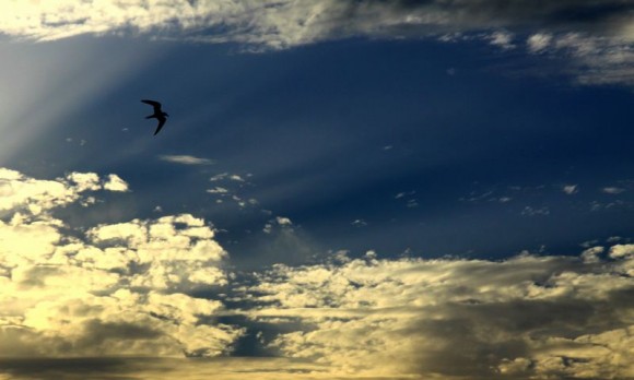 西安浐灞湿地公园