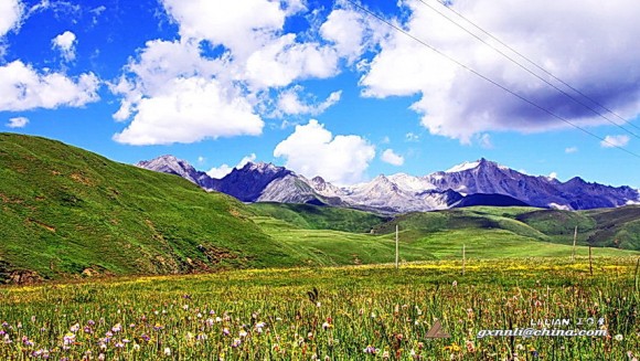 塔公草原-川藏G318