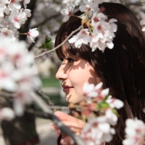 ［思源学院樱花季］之［青春的回忆］