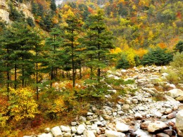 ——秋景拍摄的一点体会——