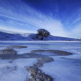 太阳初生在坝上