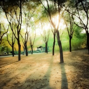 摄影并没有什么了不起，随手定格生活中的美好，一样很精彩