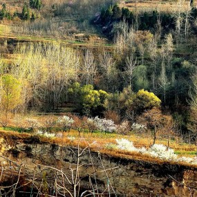 小山村的早春——兰田