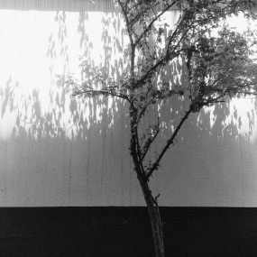 每一张都是一个故事