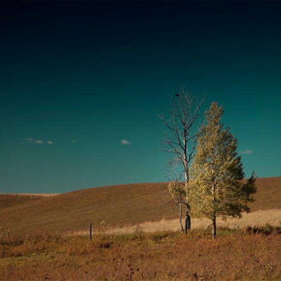 你是我永远的乡愁