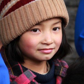 【凤凰】一个游