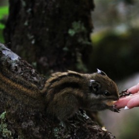 香格里拉普达措。新手试手，请大家多鼓励哈~！