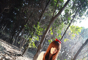 首次发图！森林系